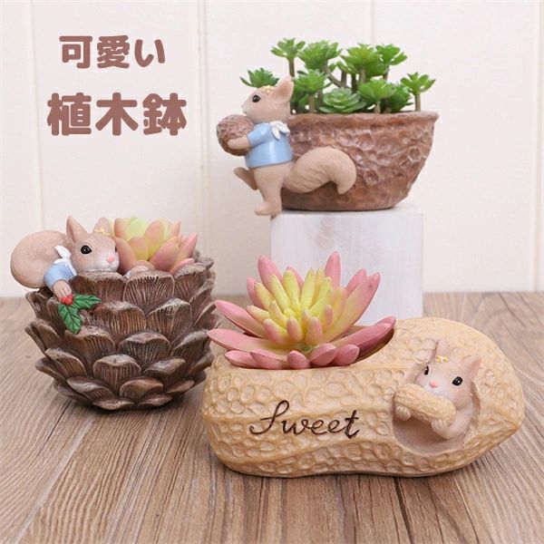 Rakuten - 植木鉢 プランター ミニ 多肉 苔 コケリウム 苔リウム 箱庭 鉢 可愛い サボテン 多肉植物 寄せ植え 置物 インテリア かわいい 樹脂 テラリウム 容器 卓上 ガーデニング グッズ 雑貨