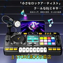 多機能Bluetooth DJターンテーブルシミュレーション、子供初心者向けの演奏可能な楽器、マイク付き知育おもちゃ 女の子 男の子 子供 充電式 誕生日 実用的 ギフト 入学祝い カピバラ