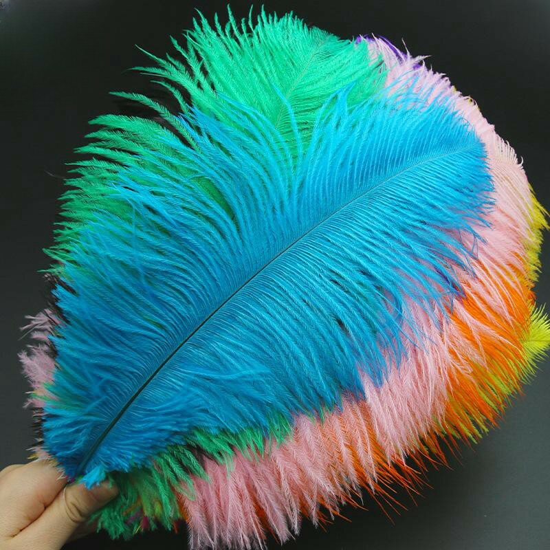 オーストリッチ ダチョウ羽根 マラボー 10本30-35cm DIY手芸用 ナチュラル素材 ス...
