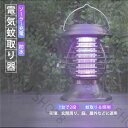 敬老の日 ソーラー充電 電気蚊取り器 殺虫ライト 捕虫器 誘虫灯電撃蚊取り器 電気バグザッパー 蚊ザッパー 照明ランプ 光触媒技術 UV光源誘引式 360°強力蚊除け 虫取り 害虫駆除 蚊取り 新型 一台二役 太陽光で充電 防水 モスキートキラーランタン