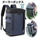 クーラーボックス ソフトクーラー 保冷ラップ 保温 バック クーラーバック アウトドア キャンプ ペットボトルクーラー 折り畳み 大型 アイスボックス 大容量 ...