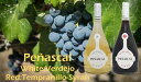 BODEGAS PENASCAL 広く庶民の間で親しまれてきたペニャースカル。 高品質なワインの産地として知られるドュエロ川流域に位置するバリャドリッドの大地で収穫された、芳醇で熟成した葡萄。 &#8203;豊かな自然と伝統の製法が自慢のワイナリーで生まれた、プレミアムクオリティのスパニッシュワインをご賞味あれ。ぺニャースカル ティント スペインNO1売上のロゼワインとして大人気のぺニャースカルブランド。広く、たくさんの人々に愛され、親しまれています。高品質なワインの産地として知られるドゥエロ川流域に位置するバリャドリッドの大地で収穫された、芳醇で熟成した葡萄、&#8203;豊かな自然と伝統の製法が自慢のワイナリーで生まれた、プレミアムクオリティのスパニッシュワインです。 紫の反射を伴う深い色合い。力強いノーズは熟した赤い果実香、クリーンで表現は豊かです。非常に親しみやすいフレンドリーなエントリーですが、しっかりとしたストラクチャーがあり、フルーティーで長い余韻と心地よいタンニンが伴います。 仔牛肉、子羊肉など、様々な種類のお肉と相性◎ 名　称ぺニャースカル ティント (Penascal Tinto) 解　説赤ワイン　ライトボディ アルコール度数13 % 内容量750ml 品　種テンプラニーリョ、シラー 熟　成発酵前の低温浸漬を行いその後ステンレスタンクにてアルコール発酵 原産国スペイン　Vino de la Tierra de Castilla y Leon 保存方法直射日光を避け、必ず冷暗所にて保存してください。 ぺニャースカル ブランコ スペインNO1売上のロゼワインとして大人気のぺニャースカルブランド。広く、たくさんの人々に愛され、親しまれています。高品質なワインの産地として知られるドゥエロ川流域に位置するバリャドリッドの大地で収穫された、芳醇で熟成した葡萄、&#8203;豊かな自然と伝統の製法が自慢のワイナリーで生まれた、プレミアムクオリティのスパニッシュワインです。 ライトイエローに緑の反射のクリーンな印象。梨や桃などの白い果実香、クリーンで表現は豊かです。非常に親しみやすいフレンドリーなエントリーですが、しっかりとしたストラクチャーとナッティーさがあり、長い余韻と心地よいフルーティーさが伴います。 様々な種類のお米料理、パスタ、シーフード、白身の肉、魚との相性◎ 名　称ぺニャースカル ブランコ (Penascal Blanco) 解　説白ワイン 辛口 アルコール度数13 % 内容量750ml 品　種ベルデホ 熟　成ステンレスタンクにて温度管理を行いながら発酵 原産国スペイン　Vino de la Tierra de Castilla y Leon 保存方法直射日光を避け、必ず冷暗所にて保存してください。