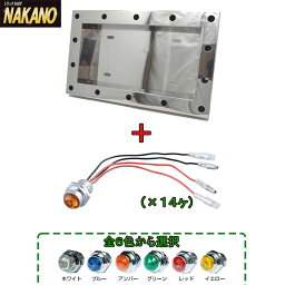 トラック用 パイロットランプ取付穴付ナンバー枠 中型（501197）＋ LEDパイロットランプセット 24V カラー選択