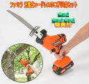 【洗剤JOE30g×3個特典付 】ファミラ 充電式コードレスのこぎり6点セット 洗剤JOE30g×3個特典付 電動のこぎり ファミリーライフ