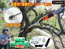 最新モデル☆コンパクト収納・組立最新モデル YARD FORCE　ヤードフォース高枝切りチェーンソー5max 　メーカー保証書付　高枝切り電動チェーンソー　10倍