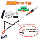 【オマケ付き!】 YARD FORCE ヤードフォース 高枝切り電動チェーンソーV max 洗剤JOE30g3個おまけ付(メーカー保証1年付)+【付属品:保護メ...