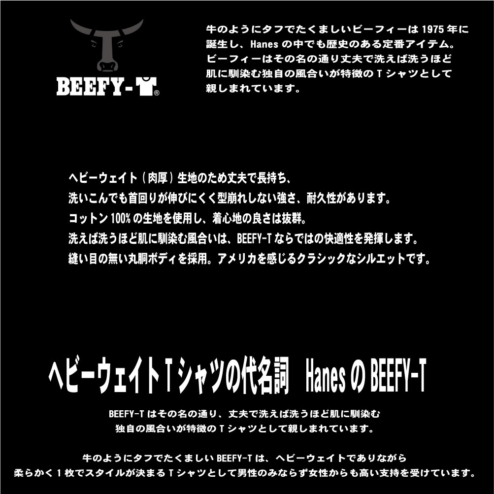 ネコポス発送 Hanes BEEFY ビーフィー BEEFY-T H5190 半袖 Tシャツ クルーネック ポケット Tシャツ 010 060 090 370 メンズ 日本サイズ ヘインズ