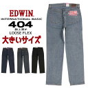 傫TCY EDWIN GhEB C^[iVix[VbN 404 F404 LO W[Y [Y tbNX Xg[g 200 233 240 275