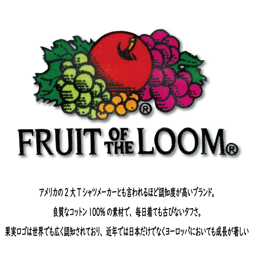 FRUIT OF THE LOOM 裏毛 トレーナー タイダイ柄 長袖 17865800 ユニセックス メンズ レディース プレゼント 35 49 62 65 M L