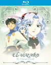 Blu-ray アニメ エルハザード オルタナティブ ワールド 完全リマスター版 菊地康仁監督 高校生主人公水原誠 声優岩永哲哉 魔法異次元世界ファンタジー 崎...