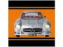 MERCEDES BENZ SLCLASS 300SL COUPE (W198) 1954 SILVER/IXO 1/8ミニカー