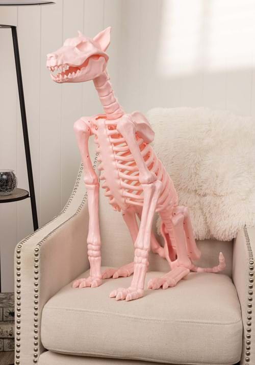 116cm ロキシー ピンク スケルトン ド