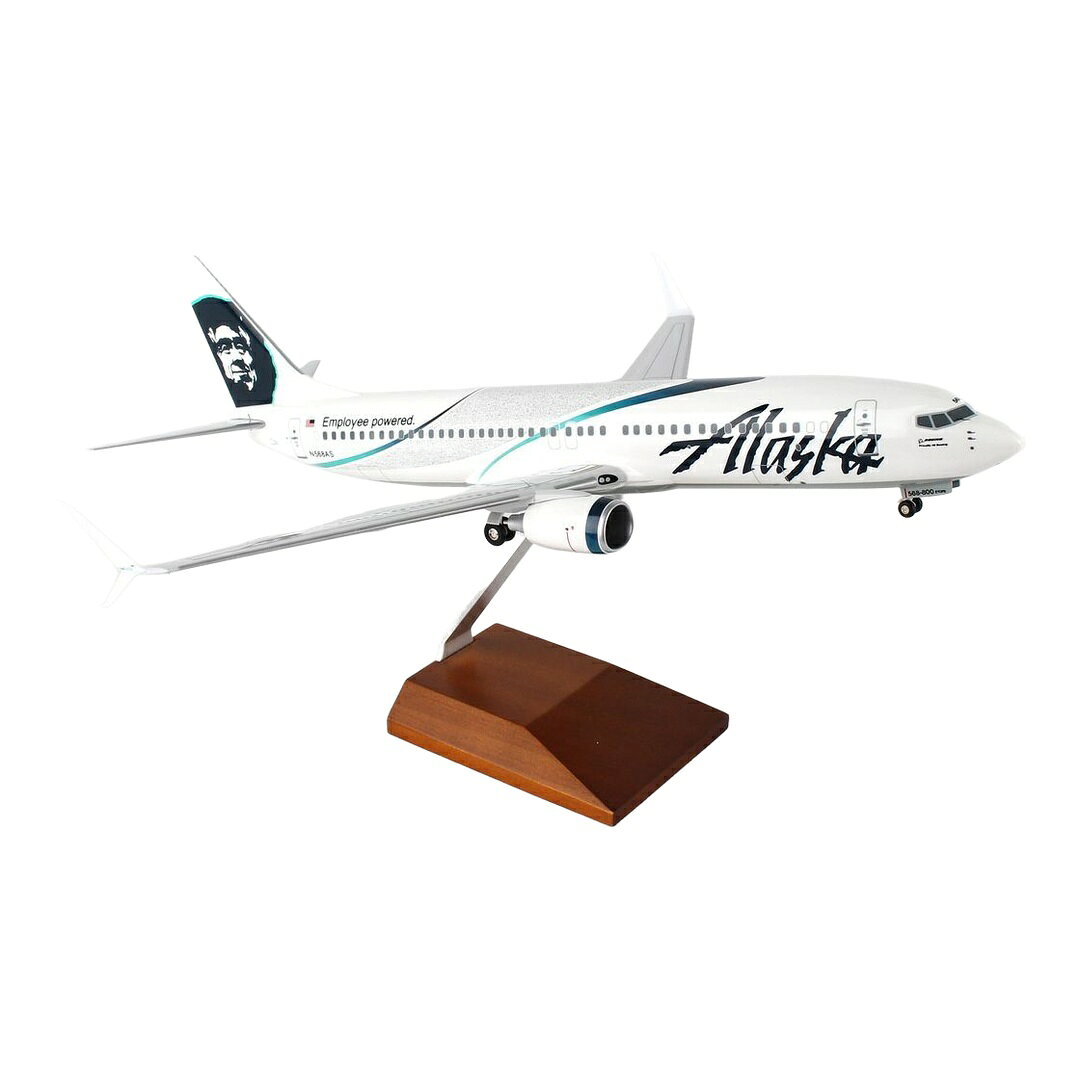 アラスカ航空 Alaska Airlines ボーイング 737-800 「Employee powered.」特別塗装 / Skymarks 1/100 飛行機模型 旅客機