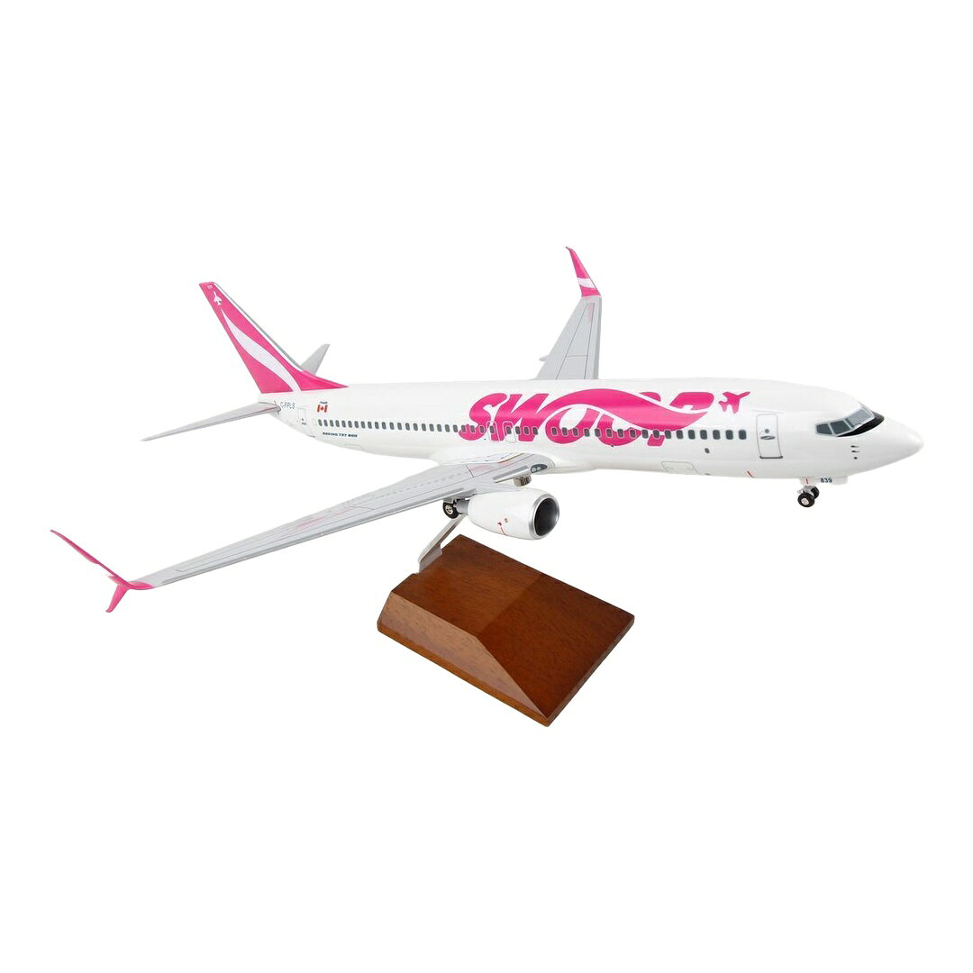 楽天市場】737 800 1／100の通販