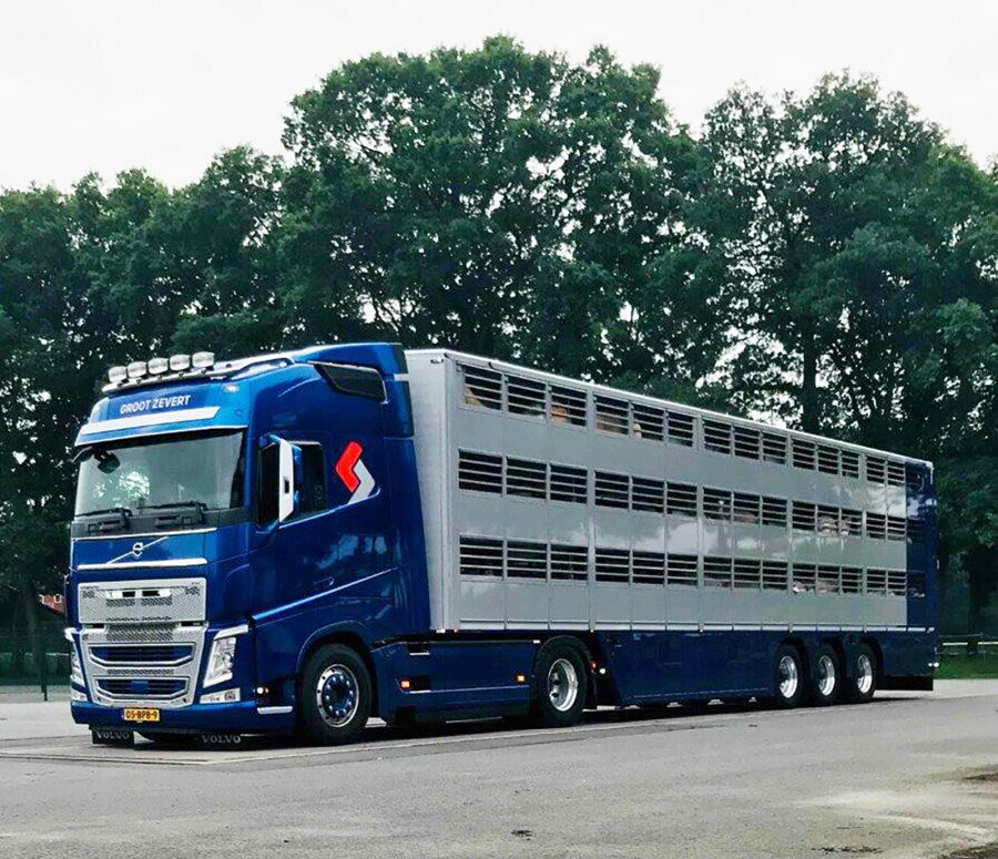 【予約】GROOT ZEVERT VOLVO FH4 GLOBETROTTER 4X2 LIVE STOCK TRAILER 3軸 トラック/WSI 1/50 建設機械模型 工事車両