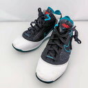 【中古】 ナイキ NIKE LEBRON 7 QS レブロン 7 クイックストライク RED CARPET レッド カーペット ブラック/ホワイト/ブルー 27...