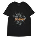 DEF LEPPARD ftp[h Shatter Logo TVc