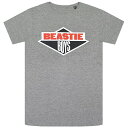 BEASTIE BOYS r[XeB{[CY Logo TVc GREY