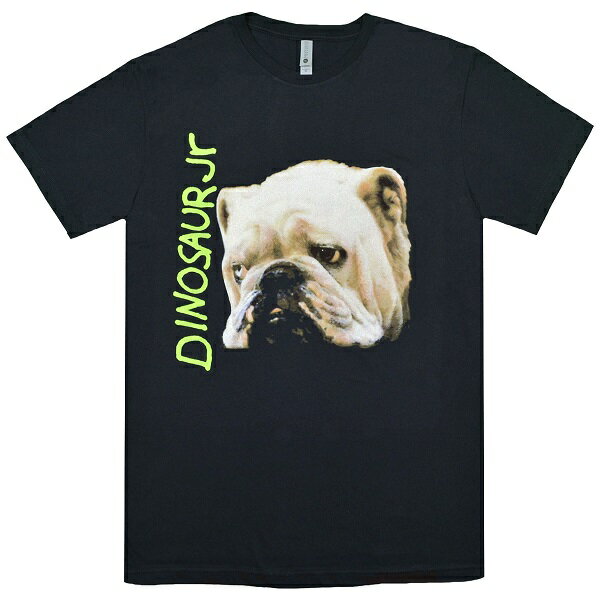 DINOSAUR Jr. ダイナソージュニア Whatever's Cool With Me Tシャツ