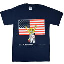 ALL I[ Allroy For Prez TVc