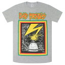 BAD BRAINS バッドブレインズ Capitol Tシャツ GREY