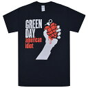 GREEN DAY グリーンデイ American Idiot Tシャツ BLACK