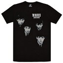 THE BEATLES r[gY Love Me Do Face TVc