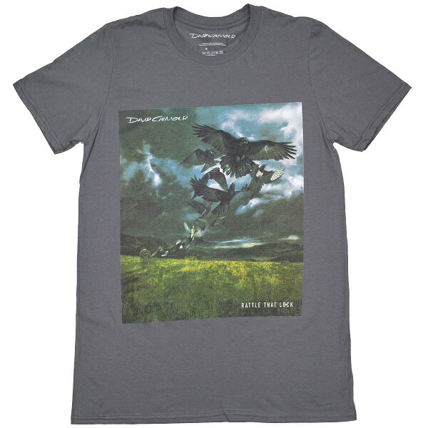 DAVID GILMOUR デヴィッドギルモア Rattle That Lock Tシャツ