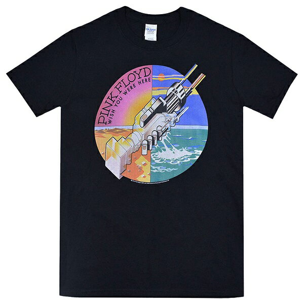 PINK FLOYD ピンクフロイド Wish You Were Here Hand Tシャツ