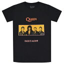 QUEEN クイーン Face It Alone Panel Tシャツ