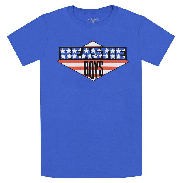 BEASTIE BOYS ビースティボーイズ American Flag Tシャツ