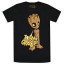 GUARDIANS OF THE GALAXY ガーディアンズオブギャラクシー Vol.2 Pop Tシャツ