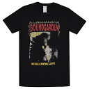 SOUNDGARDEN TEhK[f Total Godhead TVc