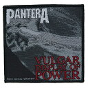 PANTERA パンテラ Vulgar Display Of Power Patch ワッペン