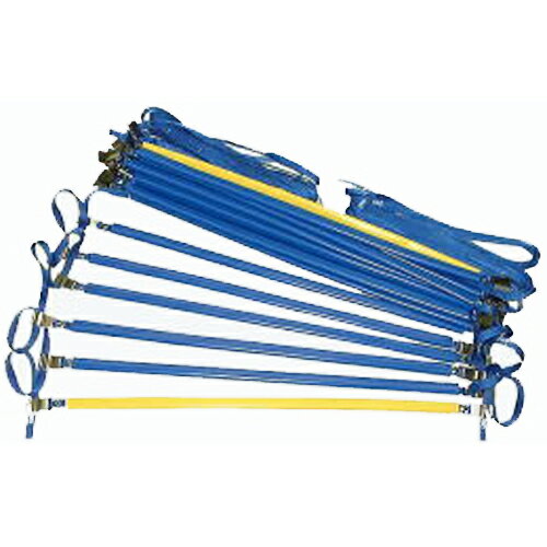 ダンノ・トレーニングラダーDX