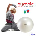 D＆M/ディーアンドエム セラバンド エクササイズボール レッド 55cm SDS55 theraband exercise ball