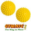 点の刺激が心地よい触覚ボール！ギムニク・センシーボール10cm（2個組）