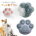 ペット用ブラシ 【中 短毛のペット専用】 噴霧式 犬用ブラシ 猫ブラシ 抜け毛取り USB充電式 スリッカーブラシ マッサージ 猫くし 犬くし ペットグルーミン...