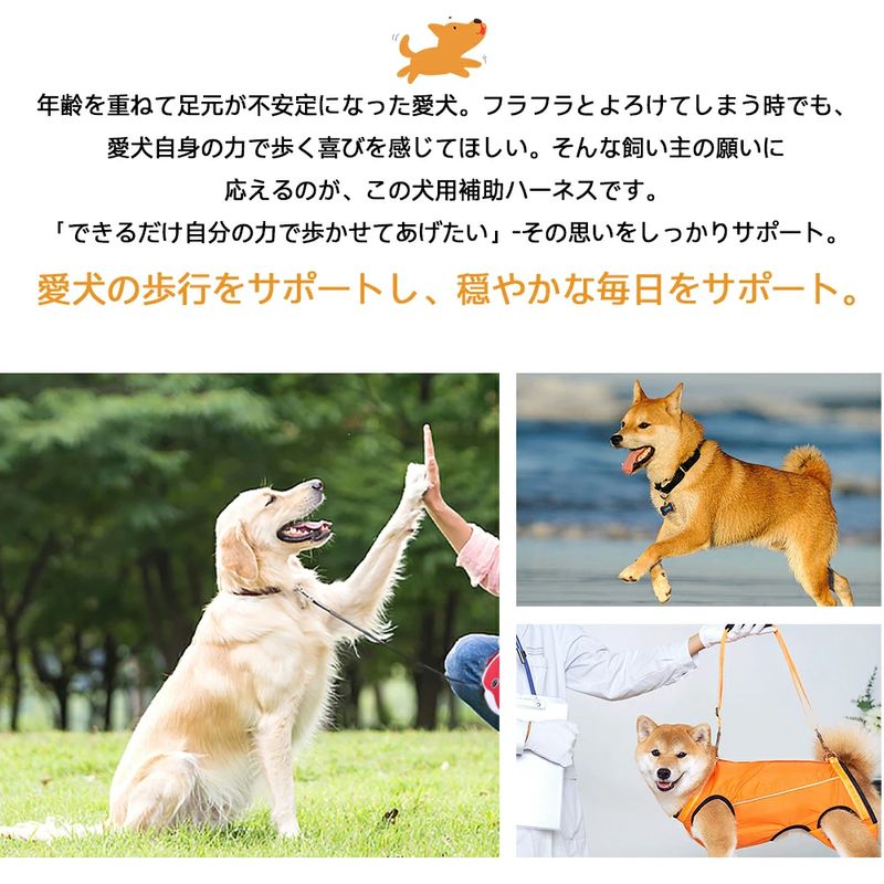 犬 介護 ハーネス 夏用 通気性 全身調整可能 犬用 介護ハーネス メッシュ 老犬 補助ハーネス 歩行補助 シニア犬 小~大型犬 手術後 リハビリ 介護用品 歩けない 蒸れにくい 胴輪 お出かけ 散歩用 補助ベルト tramonto-10032021 トラモント楽天市場店 サンプル画像2