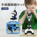 子供顕微鏡セット 初心者顕微鏡 マ