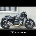 TRAMP CYCLE トランプサイクル マフラー　スポーツスター XL14年以降モデル用 /Fulltitanium Muffler 2in2 Natural/ナチュラルタイプ TMF-062E ハーレーダビッドソン 社外品　HARLEY DAVIDSON 送料無料