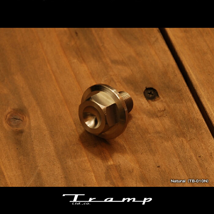 TRAMP CYCLE トランプサイクル ステムトップボルト タイプ2 Naturalタイプ STEM TOP BOLT ハーレーダビッドソン 社外品 HARLEY DAVIDSON TB-010N-T2