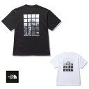 y[֔zTHE NORTH FACE S/S Halfdome Window Tee NT32337 V[gX[un[th[EBhEeB[ijZbNXj m[XtFCX TVc