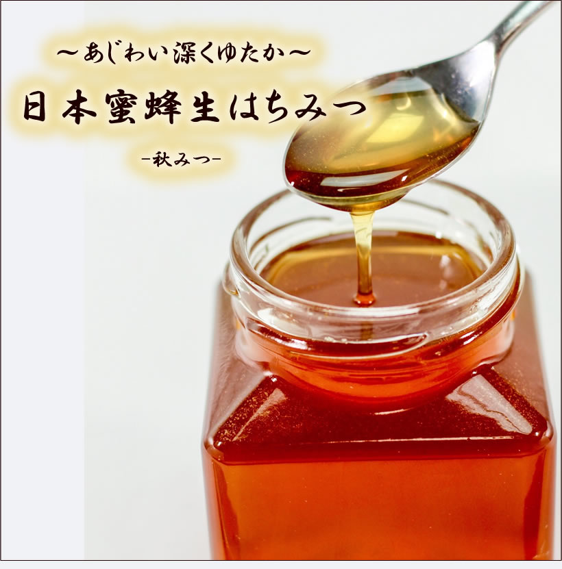 【日本蜜蜂生はちみつ】国産純粋 秋みつ 生 はちみつ 非加熱　国産はちみつ 日本産 淡路島 240g