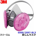 3M 取替式防じんマスク 6000/2097-RL3 (6個入) スリーエム 正規品 【作業/工事/医療用/粉塵】