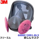 3M 取替式防じんマスク 6000F/2091-RL3 スリーエム 正規品 【作業/工事/医療用/粉塵】