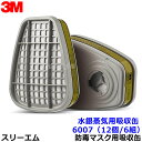 3M 水銀蒸気用吸収缶 6007 (12個/6組) (6500/6000シリーズ用) 防毒マスク用 スリーエム 交換用 取替【ガスマスク/作業】