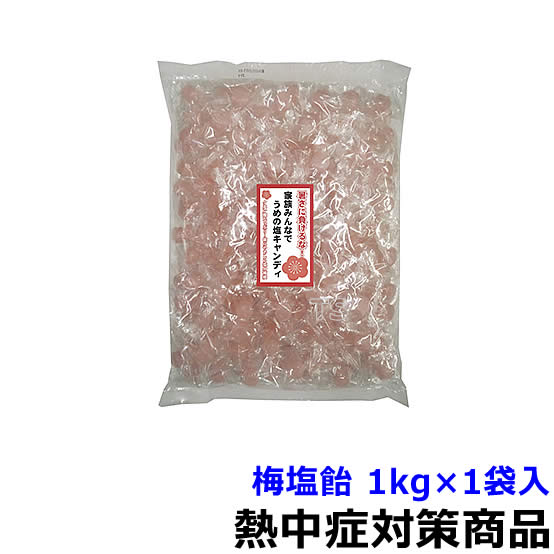 熱中飴熱中症対策梅塩飴1kg