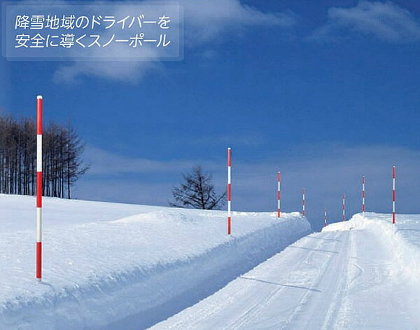 ���������� ����������Ρ��ݡ����10��1�ȡ�38�ա�2000mm ���٤�4����WT-116�ˡ��ɴ��к�����/����/�㤫��/����/������/�����ۡ�RCP��