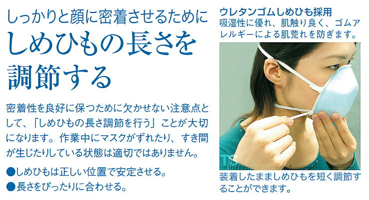 �����ޥ��� �Ȥ��ΤƼ��ɿХޥ��� �ϥ���å�550��-DS1 2�ܤҤ⼰ (10����) ���ɤ���/��������/���/����/������/ʴ�Сۡ�RCP��